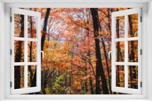 Fototapeta Naklejka Na Ścianę Okno 3D - las jesienią