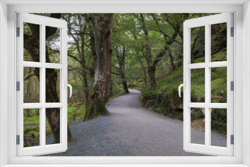 Fototapeta Naklejka Na Ścianę Okno 3D - Walking footpath in a Glendalough