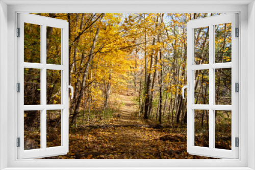 Fototapeta Naklejka Na Ścianę Okno 3D - Canadian Natural Area in Fall