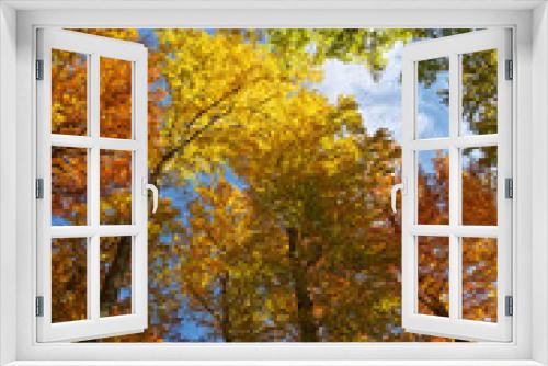 Fototapeta Naklejka Na Ścianę Okno 3D - paysage des Vosges en automne