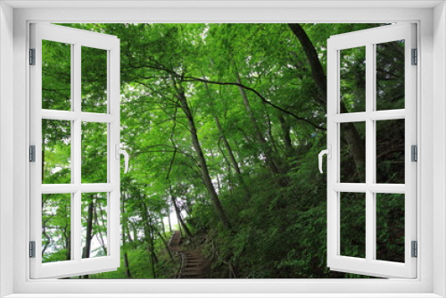 Fototapeta Naklejka Na Ścianę Okno 3D - peaceful path through the green forest