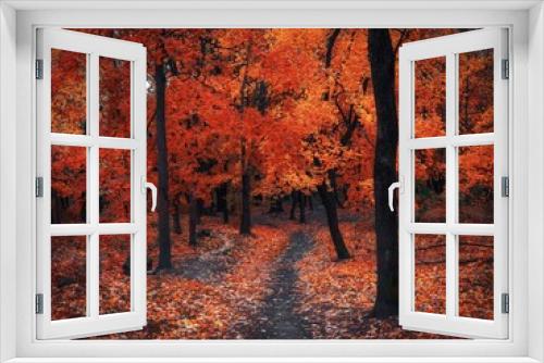 Fototapeta Naklejka Na Ścianę Okno 3D - Atmospheric autumn forest in the fog. Yellow and orange leaves on the trees in the morning forest. Beautiful background.