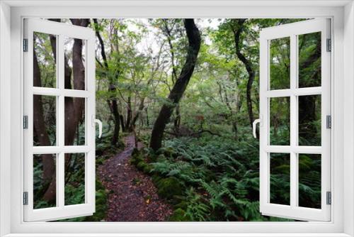 Fototapeta Naklejka Na Ścianę Okno 3D - a path through an autumn forest