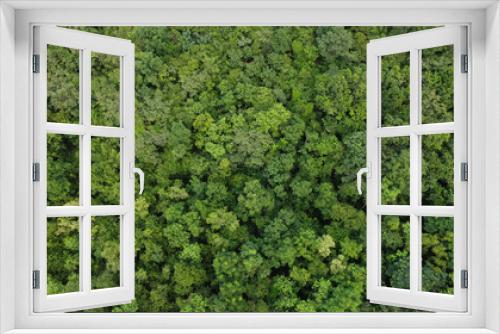Fototapeta Naklejka Na Ścianę Okno 3D - High angle view of a green forest photo by drone