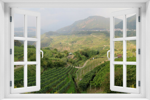 Fototapeta Naklejka Na Ścianę Okno 3D - Tranquil Austrian valley in the wine country