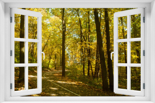 Fototapeta Naklejka Na Ścianę Okno 3D - Autumn park on a sunny day.