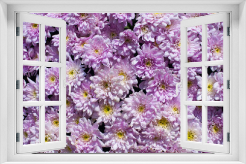 Fototapeta Naklejka Na Ścianę Okno 3D - Background from flowers of lilac and yellow shades.