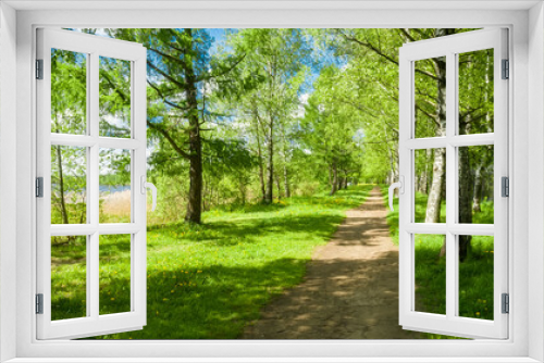 Fototapeta Naklejka Na Ścianę Okno 3D - A path for walking along a birch alley along the lake