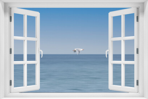 Fototapeta Naklejka Na Ścianę Okno 3D - Seagull