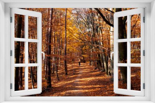 Fototapeta Naklejka Na Ścianę Okno 3D - Sunny day in forest at autumn