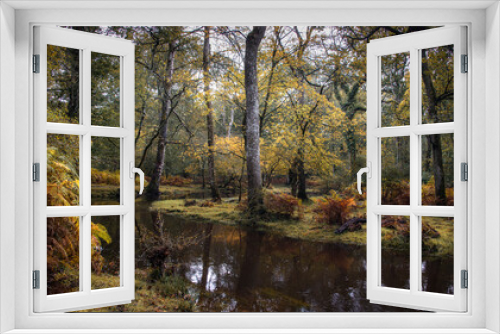 Fototapeta Naklejka Na Ścianę Okno 3D - The colours of the New Forest, Hampshire, UK in autumn after heavy rain