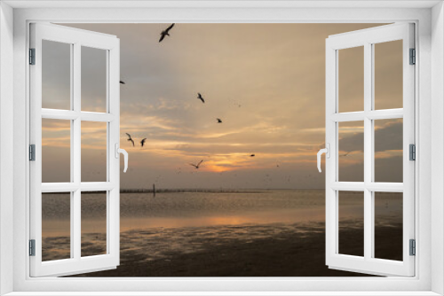 Fototapeta Naklejka Na Ścianę Okno 3D - Shorebirds at sunset on the beach