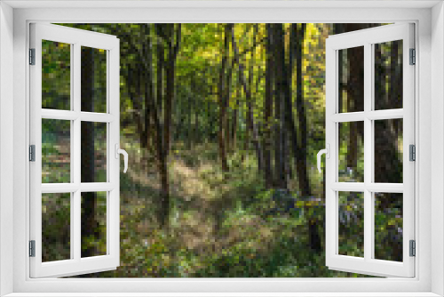 Fototapeta Naklejka Na Ścianę Okno 3D - Landschaft im Herbst