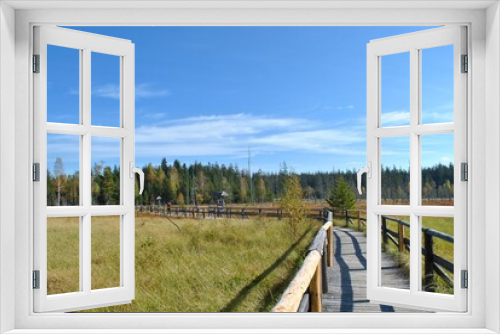Fototapeta Naklejka Na Ścianę Okno 3D - Kładka turystyczna przez torfowisko