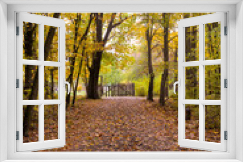 Fototapeta Naklejka Na Ścianę Okno 3D - autumn in the park