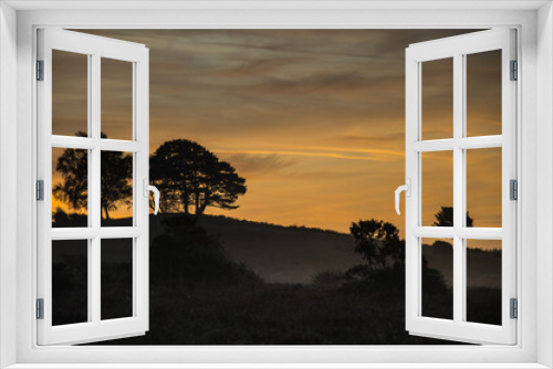 Fototapeta Naklejka Na Ścianę Okno 3D - Before sunrise in forest...