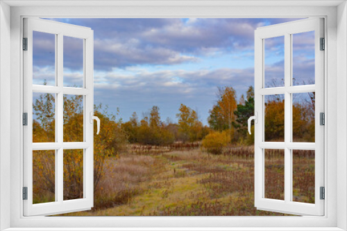 Fototapeta Naklejka Na Ścianę Okno 3D - Yellow and green, autumn trees grow in a forest clearing. Autumn landscape on a cloudy day.