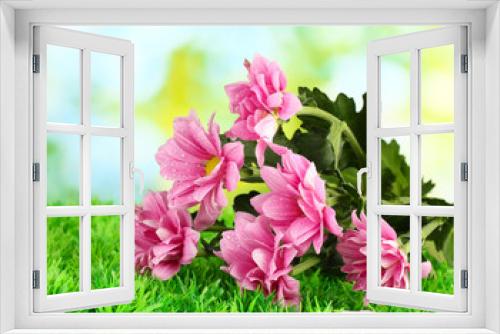 Fototapeta Naklejka Na Ścianę Okno 3D - branch of beautiful chrysanthemums