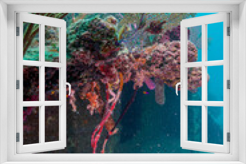 Fototapeta Naklejka Na Ścianę Okno 3D - Caribbean coral garden sunken boat