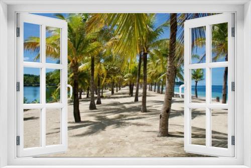 Fototapeta Naklejka Na Ścianę Okno 3D - palm tree on the beach
