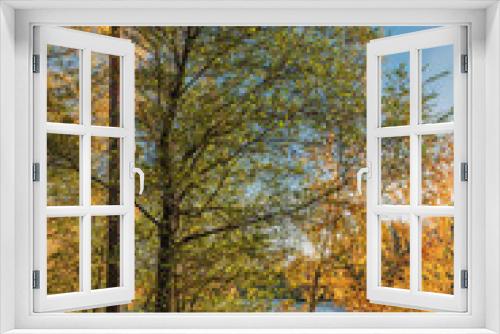 Fototapeta Naklejka Na Ścianę Okno 3D - Forest lake in autumn
