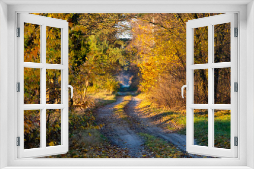 Fototapeta Naklejka Na Ścianę Okno 3D - Polna, wiejska droga jesienią