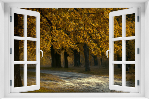 Fototapeta Naklejka Na Ścianę Okno 3D - Autumn tree with yellow leaves on the background of the path stretching into the distance.