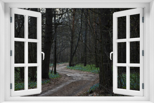 Fototapeta Naklejka Na Ścianę Okno 3D - road in the spring forest and the first flowers