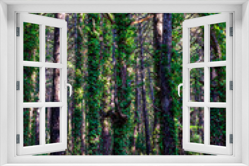 Fototapeta Naklejka Na Ścianę Okno 3D - Pine forest in mountains