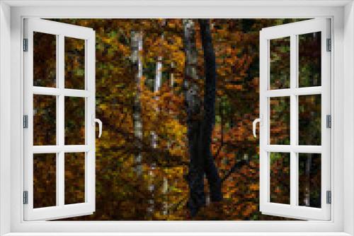 Fototapeta Naklejka Na Ścianę Okno 3D - Autumm thebright colors in the forest
