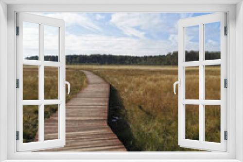 Fototapeta Naklejka Na Ścianę Okno 3D - A winding wooden deck over a swamp with yellowed grass, going to the forest, against a beautiful sky with clouds.