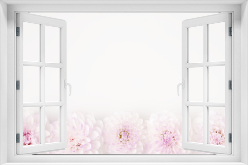 Fototapeta Naklejka Na Ścianę Okno 3D - Trendy abstract image of white and lilac flowers on isolated white background in flat lay style for decoration design. Romantic holiday concept. Beautiful tender gift card with copy space.