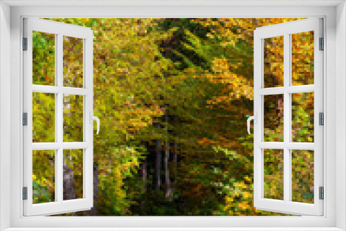 Fototapeta Naklejka Na Ścianę Okno 3D - Herbstspaziergang