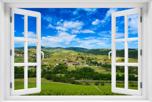 Fototapeta Naklejka Na Ścianę Okno 3D - Vineyards of Ternand and Letra villages in Beaujolais