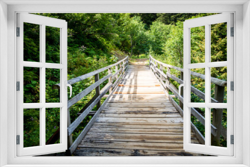 Fototapeta Naklejka Na Ścianę Okno 3D - Wood bridge in a fir forest