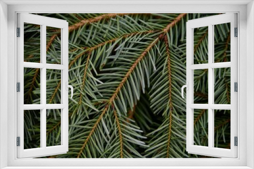 Fototapeta Naklejka Na Ścianę Okno 3D - Christmas Fir Tree Branches