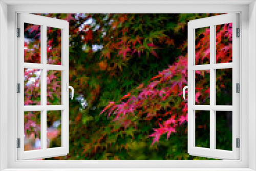 Fototapeta Naklejka Na Ścianę Okno 3D - 松島の瑞巌寺の紅葉