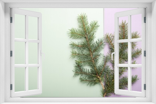 Fototapeta Naklejka Na Ścianę Okno 3D - Christmas pine branches on olive and lilac background