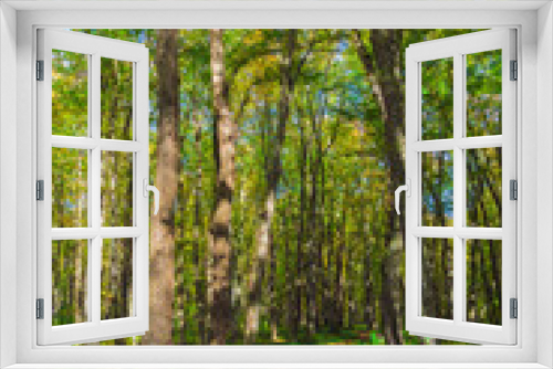 Fototapeta Naklejka Na Ścianę Okno 3D - Beautiful green forest in the sunny day