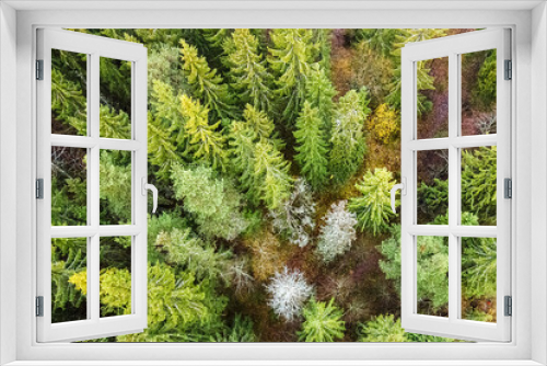 Fototapeta Naklejka Na Ścianę Okno 3D - Republic of Karelia. Aerial photography over coniferous fir forest. Outdoor recreation with pure air is a concept of tourism in the north of Russia. The photo is suitable for advertising.