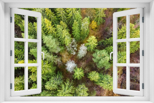 Fototapeta Naklejka Na Ścianę Okno 3D - Republic of Karelia. Aerial photography over coniferous fir forest. Outdoor recreation with pure air is a concept of tourism in the north of Russia. The photo is suitable for advertising.