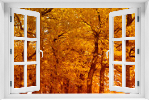 Fototapeta Naklejka Na Ścianę Okno 3D - Vertical autumn landscape with trees and footpath.
