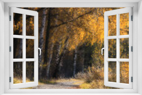Fototapeta Naklejka Na Ścianę Okno 3D - Brzozowa aleja jesienna