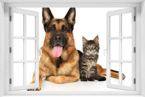 Fototapeta Naklejka Na Ścianę Okno 3D - Cat and dog lie together