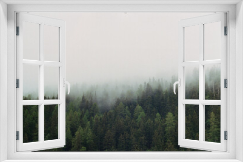 Fototapeta Naklejka Na Ścianę Okno 3D - A forest