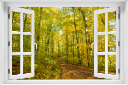 Fototapeta Naklejka Na Ścianę Okno 3D - Beautiful autumn trees, golden autumn