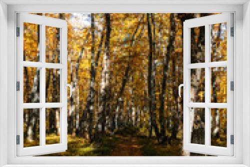 Fototapeta Naklejka Na Ścianę Okno 3D - Autumn colors in the forest in November