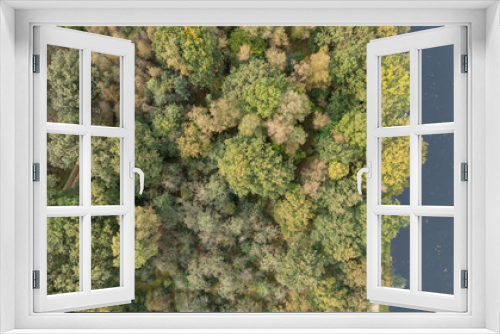 Fototapeta Naklejka Na Ścianę Okno 3D - Directly above aerial drone full frame shot of green emerald pine forests and yellow foliage groves with beautiful texture of treetops. Beautiful fall season scenery. Mountains in autumn golden colors