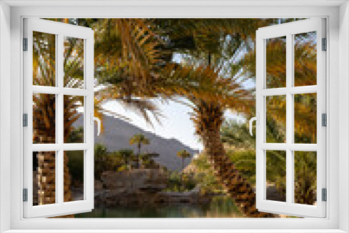 Fototapeta Naklejka Na Ścianę Okno 3D - Oasis with water and palm trees. Wadi Bani Khalid, Oman