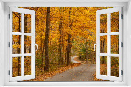 Fototapeta Naklejka Na Ścianę Okno 3D - road through autumn leaves in yellow color